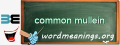 WordMeaning blackboard for common mullein